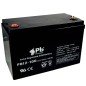 Batería 12V 100Ah AGM| Premium Battery PB12-100