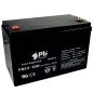 Batería 12V 100Ah AGM Ciclo Profundo | Premium Battery PBC12-100